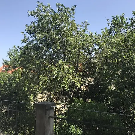 Σπίτι διακοπών Meg Homestay Τεργέστη
